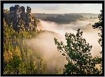 Mgła, Skały, Drzewa, Las, Góry Połabskie, Park Narodowy Saskiej Szwajcarii, Niemcy