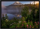 Park Narodowy Mount Rainier, Jezioro Reflection Lake, Góra, Szczyt Mount Rainier, Mgła, Drzewa, Kwiaty, Stan Waszyngton, Stany Zjednoczone