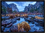 Park Narodowy Yosemite, Rzeka, Merced River, Kamienie, Kępy, Trawy, Góry, Sierra Nevada, Drzewa, Chmury, Jesień, Kalifornia, Stany Zjednoczone