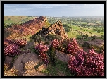 Wysokie, Skały, Wrzosy, Pola, Łąki, Drzewa, Park Narodowy Peak District, Anglia