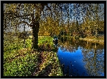 Park, Kanał, Łódka, Drzewa