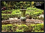 Ogród, Park, Fontanna