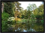 Ogród, Park, Jeziorko