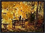 Park, Ławka, Żółte liście