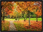 Park, Jesień, Drzewa, Ławka, Żółte, Liście