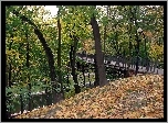 Park, Rzeczka, Most, Opadłe, Liście