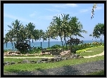 Park, Mostek, Palmy, Bali