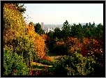 Park, Drzewa, Panorama, Miasto