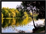 Park, Jesień, Rzeka, Pływające, Kaczki