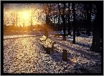Park, Zima, Staw, Ławki, Promienie, Słońca