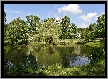 Park, Staw, Obłoki, Przebijające, Światło