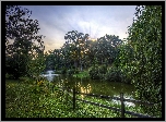 Park, Staw, Wodotrysk, Przebijające, Światło