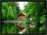Park, Staw, Restauracja, Wiosna