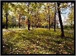 Park, Moskwa, Rosja, Jesień