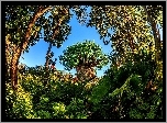 Park, Ogród, Drzewa, Rośliny, Zieleń
