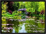 Park, Ogród, Staw, Mostek, Rośliny, Drzewa