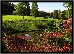 Anglia, Londyn, Park Hampstead Heath, Ławki, Kwiaty  Staw