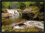 Park, Rzeka