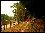 Park, Rzeka