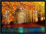 Park, Drzewa, Liście, Rzeka, Jesień