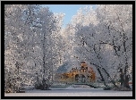 Park, Dom, Most, Rzeka, Zima