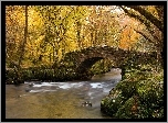 Rzeka, Park, Most