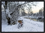 Park, Śnieg, Rzeka, Rowery