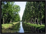 Park, Aleja, Topolowa, Rzeka, Cienie