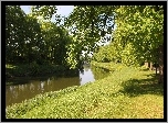 Rzeka, Park, Trawa