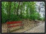 Park, Drzewa, Ławeczki, ścieżka, HDR