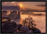 Park Narodowy Saskiej Szwajcarii, Skały Bastei, Góry Połabskie, Niemcy, Mgła, Drzewo, Wschód słońca, Promienie słońca, Chmury
