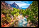 Park Narodowy Zion, Góry, Góra Watchman, Drzewa, Rzeka Virgin River, Kamienie, Chmury, Stan Utah, Stany Zjednoczone