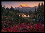 Park Narodowy Mount Rainier, Stratowulkan Mount Rainier, Góry, Drzewa, Jezioro Tipsoo, Stan Waszyngton, Stany Zjednoczone