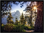 Stany Zjednoczone, Stan Kalifornia, Park Narodowy Yosemite, Szczyt Half Dome, Wschód słońca, Drzewa, Góry