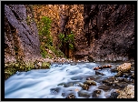 Stany Zjednoczone, Stan Utah, Park Narodowy Zion, Kanion Zion Narrows, Skały, Rzeka Virgin River