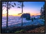 Stany Zjednoczone, Stan Waszyngton, Park Narodowy Olympic, Plaża, Ruby Beach, Zachód słońca, Wysepki, Drzewa