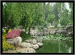 Park, Staw