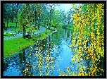 Park, Staw