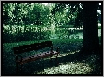 Park, Ławka, Staw, Drzewa
