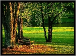 Park, Ławka, Staw, Lato