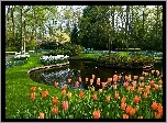 Park, Keukenhof, Staw, Tulipany