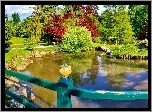 Park, Latem, Staw, Drzewa