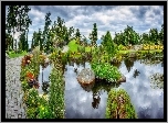 Park, Ogród, Staw, Zieleń
