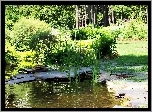 Park, Staw