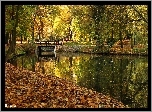 Park, Drzewa, Jezioro, Jesień, Suche, Liście