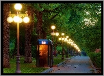 Park, Alejka, Budka, Telefoniczna, Lampy