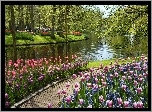 Park, Rzeka, Drzewa, Tulipany, Ścieżka
