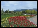 Park, Klomb, Tulipany, Góry