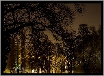 Park, Staw, Ławeczka, Drzewa, Światła, Noc
