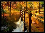 Park, Rzeka, Most, Światło, Jesień